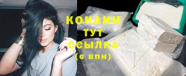 хмурый Белокуриха
