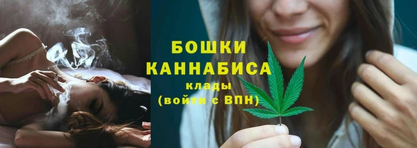 хмурый Белокуриха