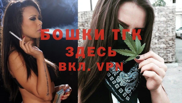 хмурый Белокуриха