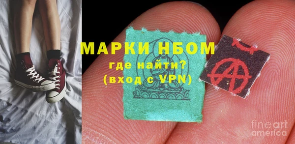 хмурый Белокуриха