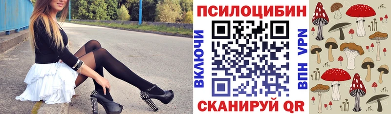 Псилоцибиновые грибы мицелий Динская