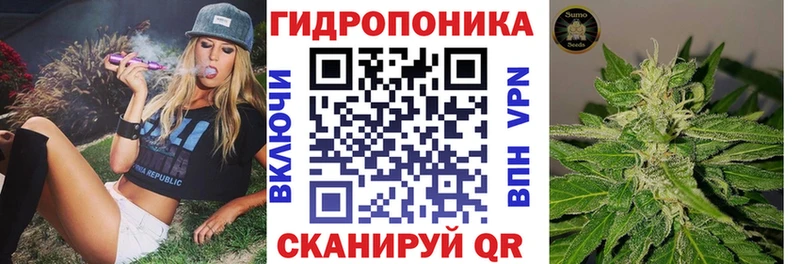Конопля OG Kush  Динская 